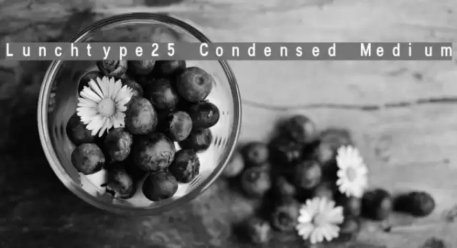 Lunchtype25 Condensed Medium Font examples