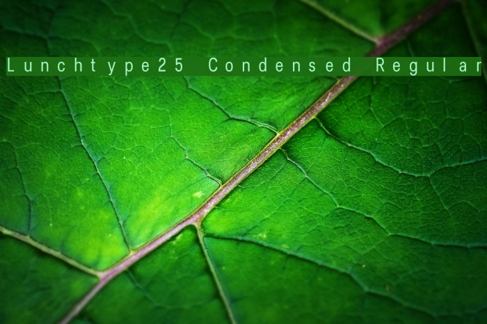 Lunchtype25 Condensed Regular Schriftart examples