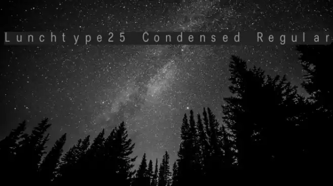 Lunchtype25 Condensed Regular Schriftart examples