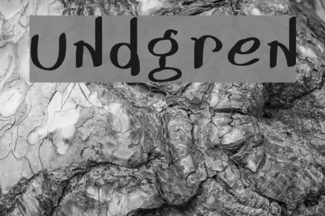 Lundgren Polices examples