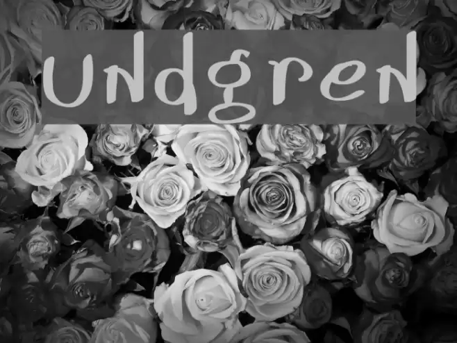 Lundgren Polices examples