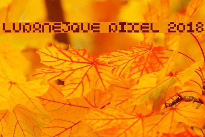 Lupanesque Pixel 2018 Font examples