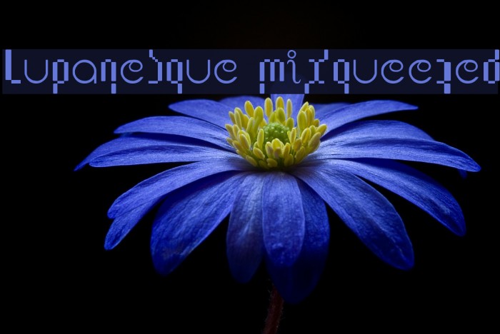 Lupanesque mixqueezed Font examples