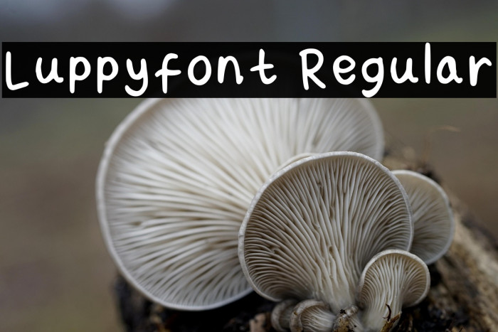 Luppy_font Regular Example 1