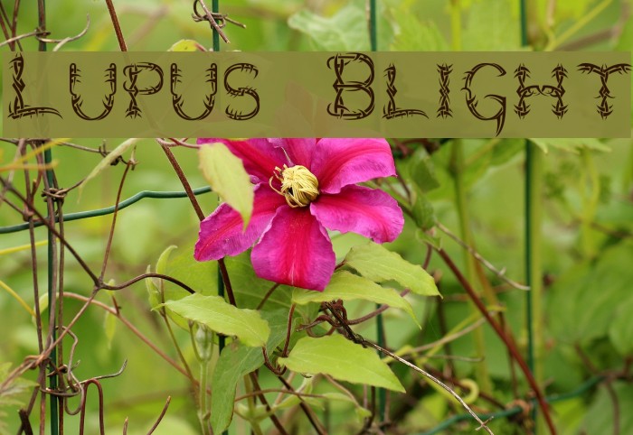 Lupus Blight Fonte examples