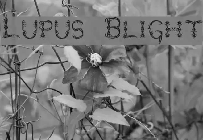 Lupus Blight Fonte examples