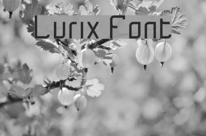 Lurix Example 1