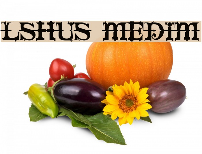 LushUs Medium Font examples
