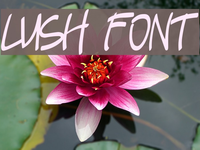 Lush Font examples