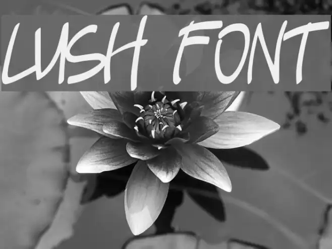 Lush Example 1