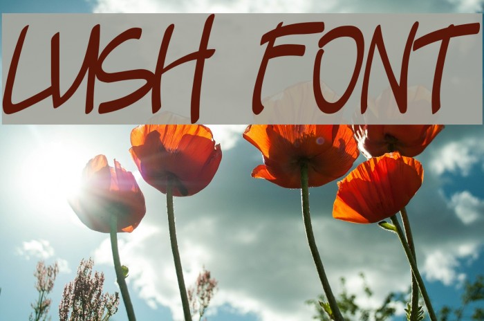 Lush Font examples