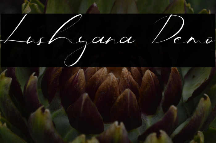 Lushyana Demo Example 1