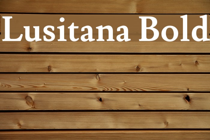 Lusitana Bold Font examples