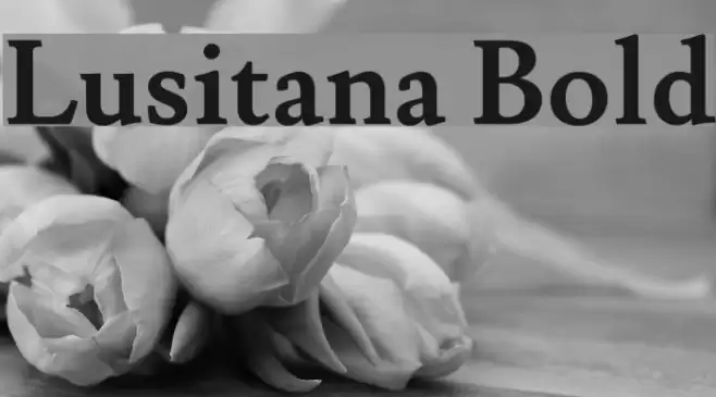Lusitana Bold Font examples