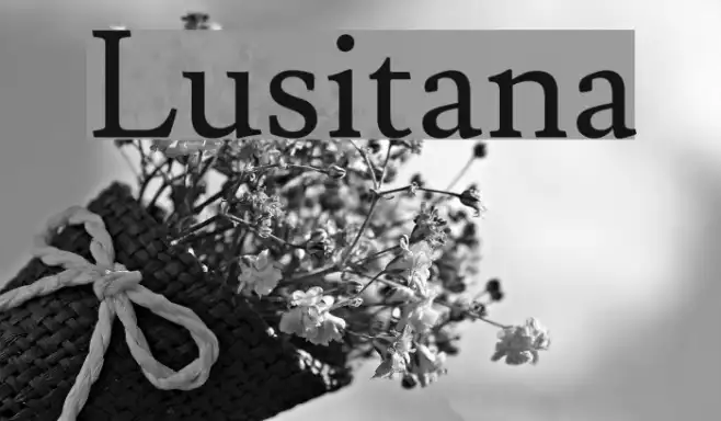 Lusitana Example 2