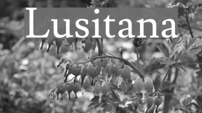 Lusitana Example 3
