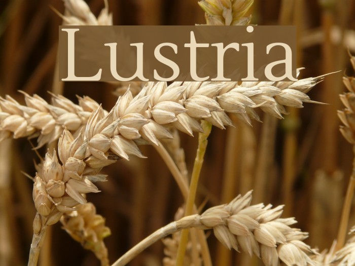 Lustria Font examples
