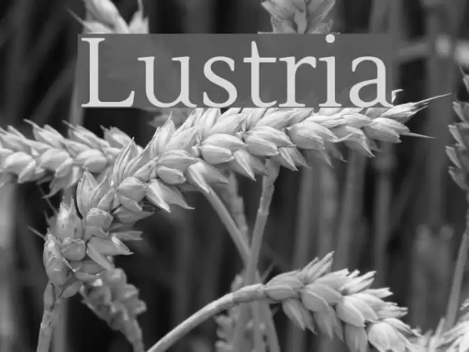 Lustria Font examples