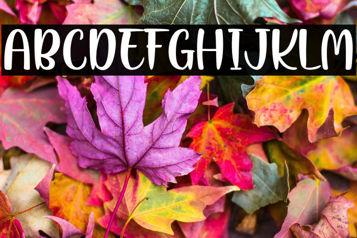 LusyJazzPersonalUse Example 1