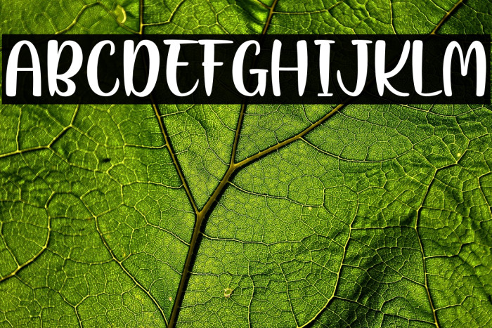 LusyJazzPersonalUse Example 3