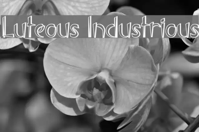 Luteous Industrious Font examples