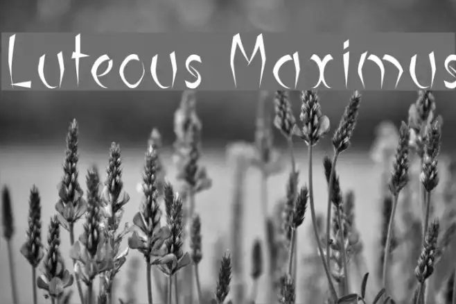 Luteous Maximus Example 1