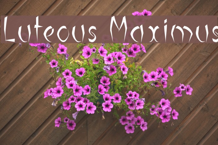 Luteous Maximus Font examples
