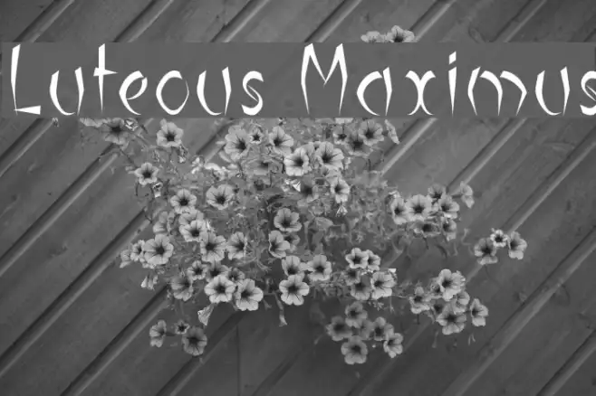 Luteous Maximus Example 3