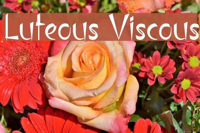 Luteous Viscous Font examples