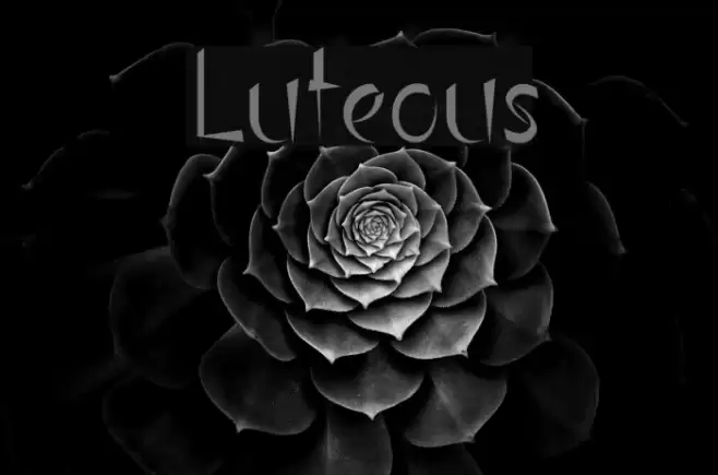 Luteous Font examples