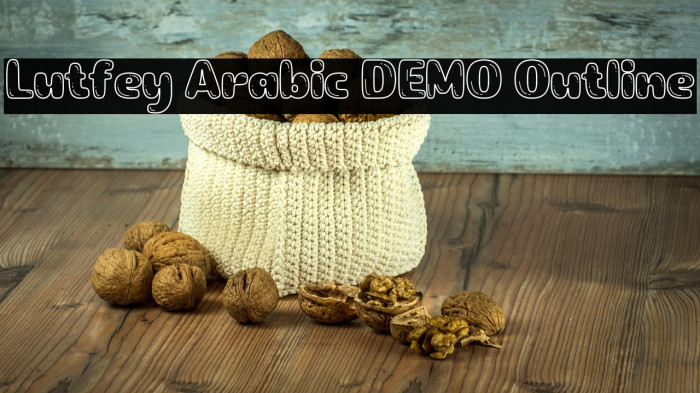 Lutfey Arabic DEMO Outline Example 2