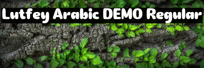 Lutfey Arabic DEMO Regular Example 3