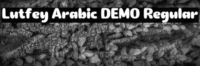 Lutfey Arabic DEMO Regular Example 3