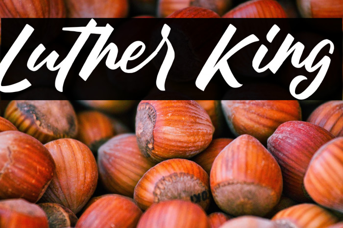 Luther King Example 1