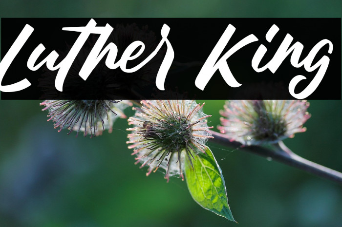 Luther King Example 3