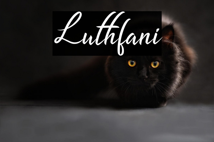 Luthfani Example 2