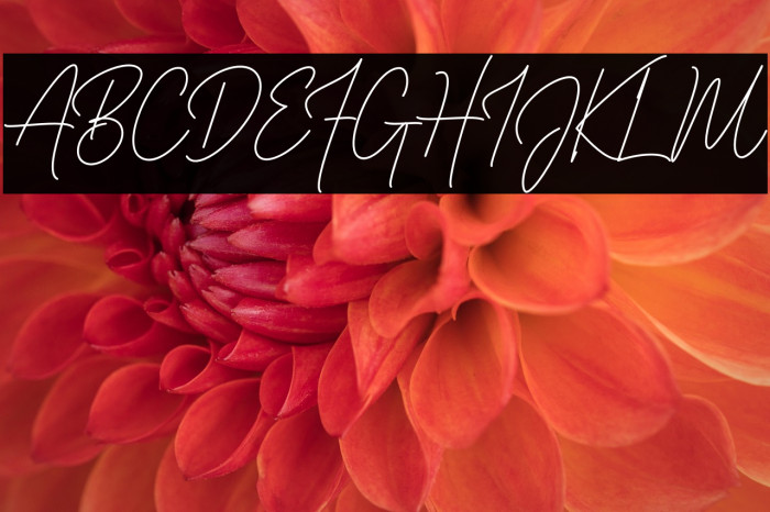 Luthon Southard Script Example 1