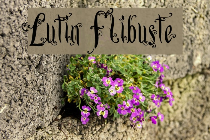 Lutin Flibuste Font examples
