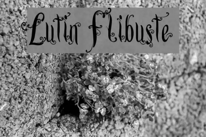 Lutin Flibuste Font examples