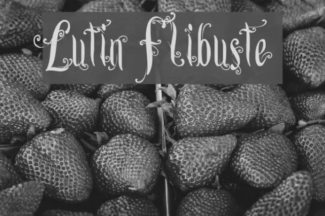 Lutin Flibuste Font examples