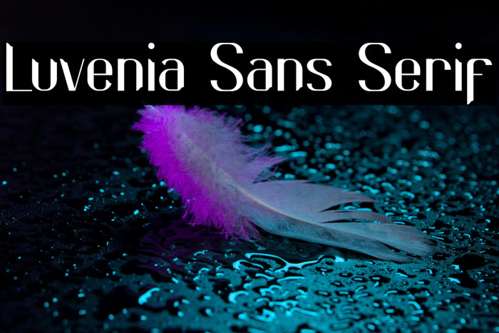 Luvenia Sans Serif Example 1