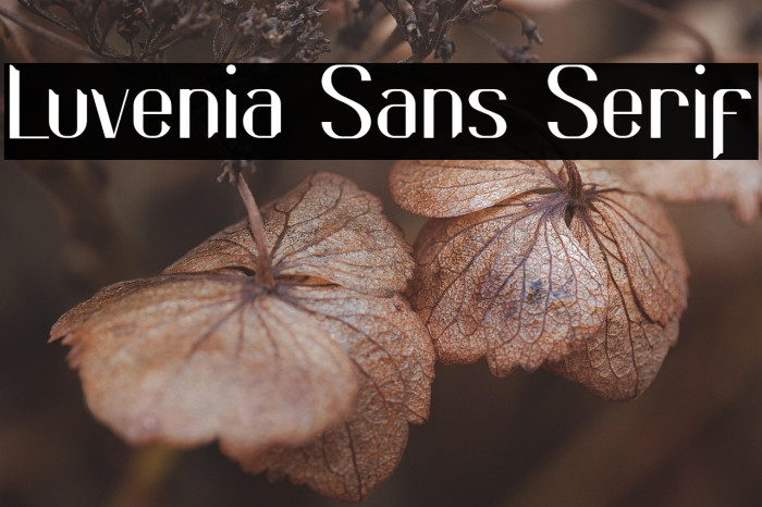 Luvenia Sans Serif Example 2