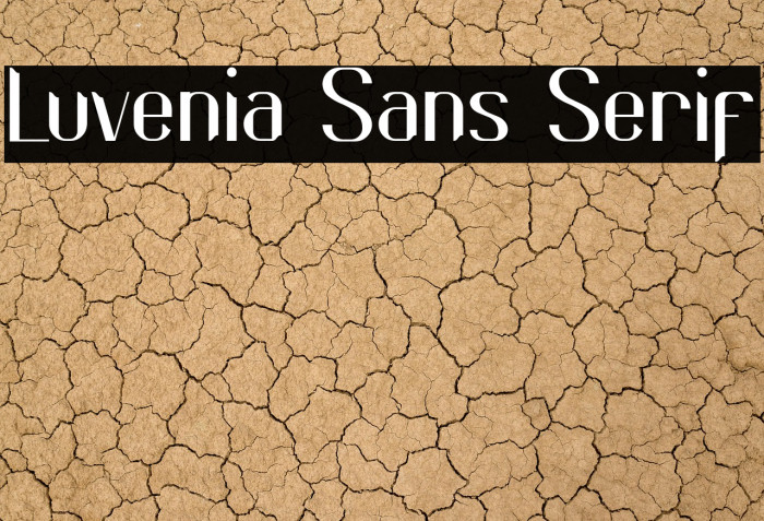 Luvenia Sans Serif Example 3