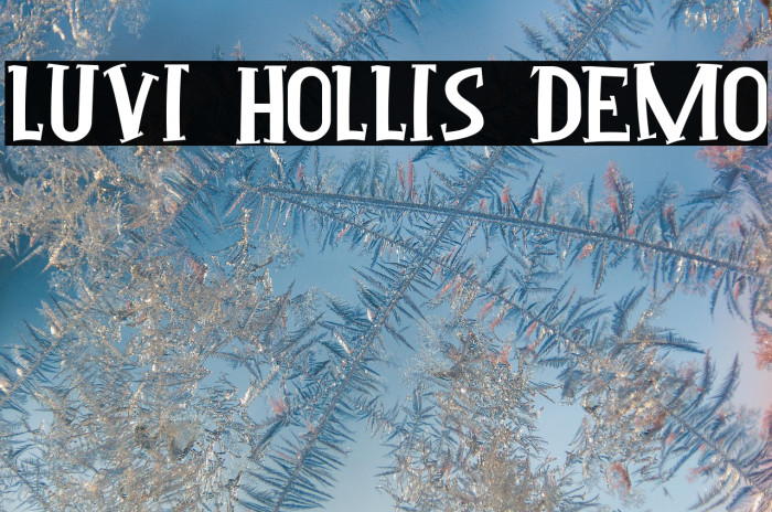 Luvi Hollis Demo Example 3