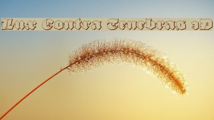 Lux Contra Tenebras 3D Font examples
