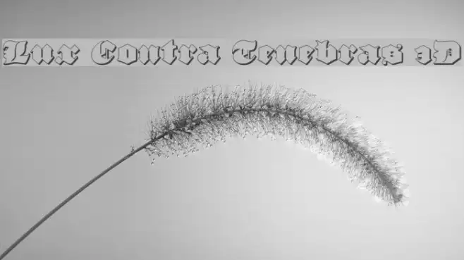 Lux Contra Tenebras 3D Example 2