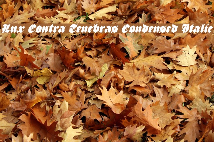 Lux Contra Tenebras Condensed Italic Font examples