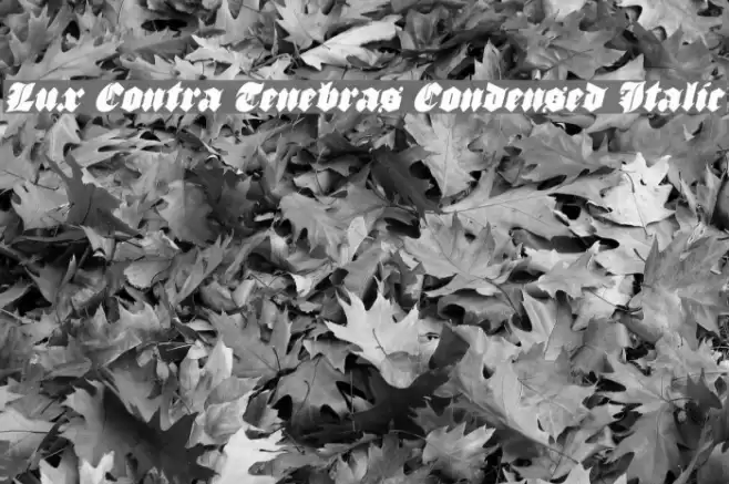 Lux Contra Tenebras Condensed Italic Font examples