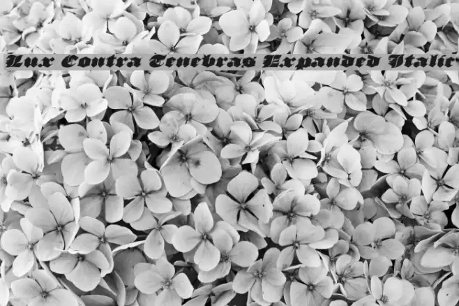 Lux Contra Tenebras Expanded Italic Font examples