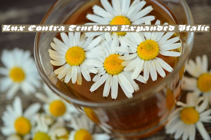 Lux Contra Tenebras Expanded Italic Example 2